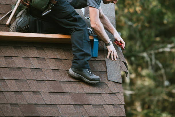 Roof Gutter Cleaning in Centreville, MS